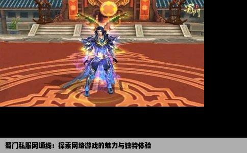蜀门私服网通线：探索网络游戏的魅力与独特体验