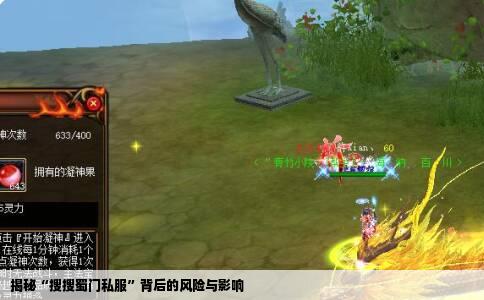 揭秘“搜搜蜀门私服”背后的风险与影响